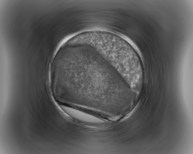 X0000084051388200703092043