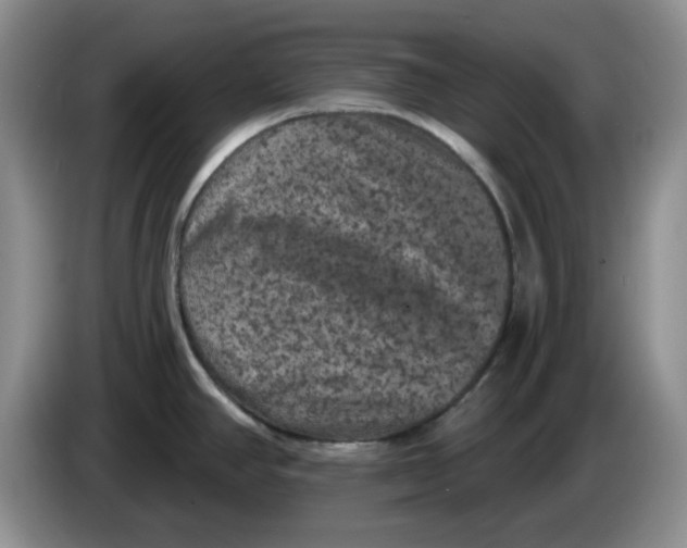 X0000084051390200703092043