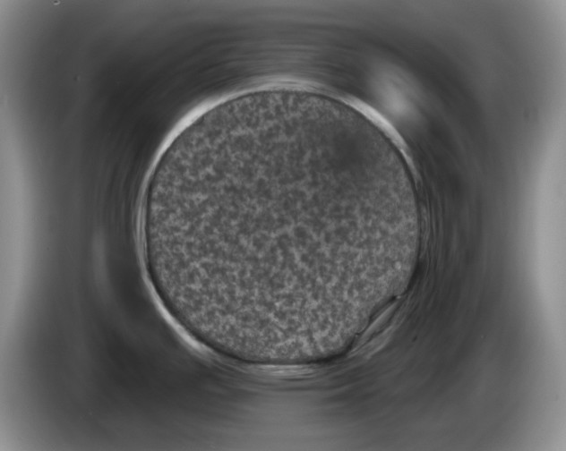 X0000084051391200703092043