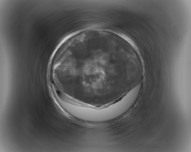 X0000084051392200703092043