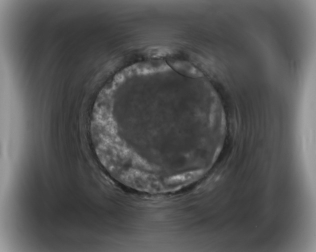 X0000084051393200703092042