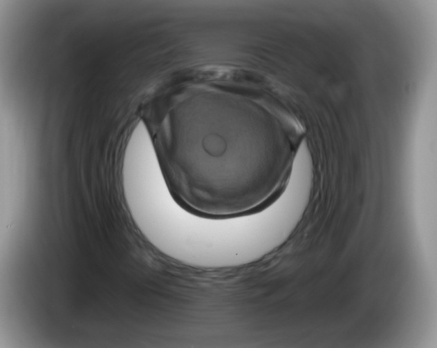 X0000084051394200703092043