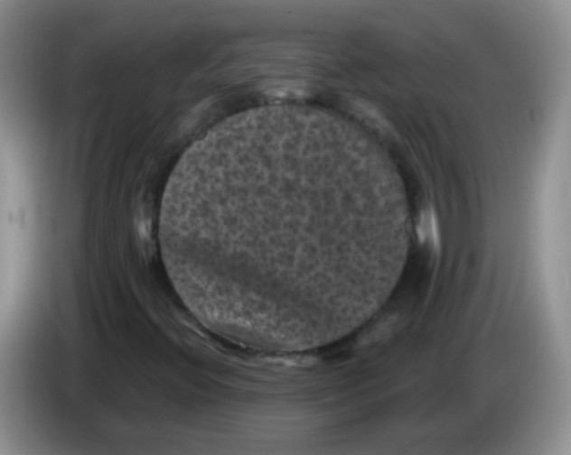 X0000084051396200703092043