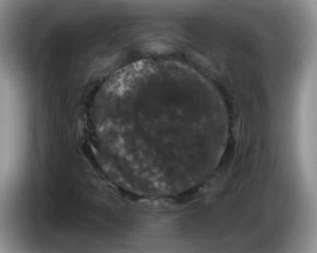 X0000084051397200703092043