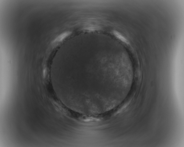 X0000084051398200703092043