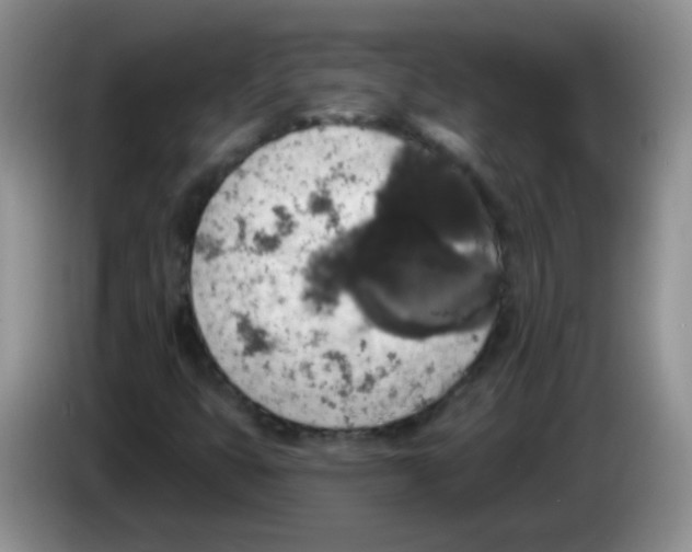 X0000084051399200703092043