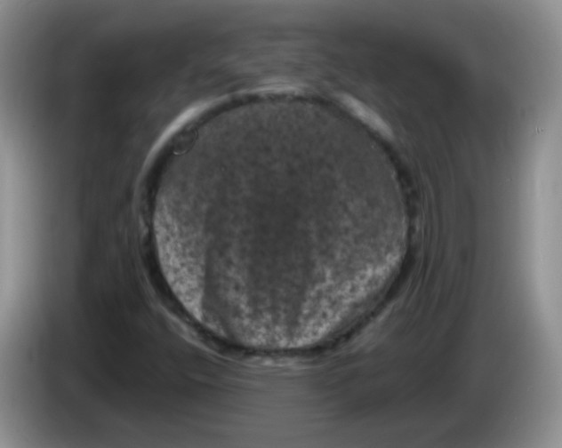 X0000084051400200703092043