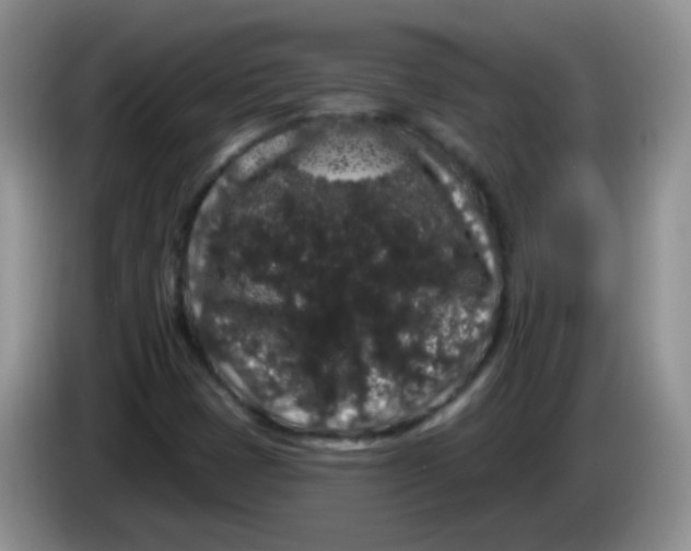 X0000084051401200703092043