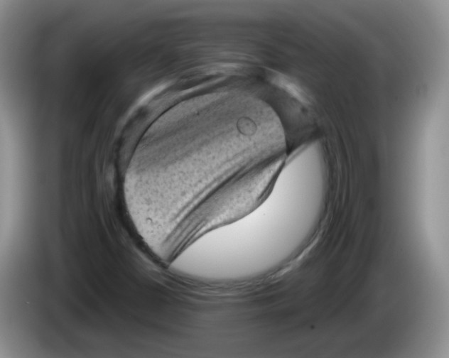 X0000084051402200703092043