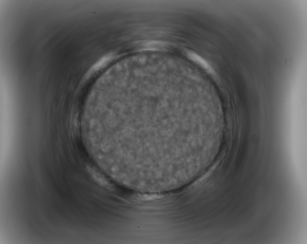 X0000084051403200703092043