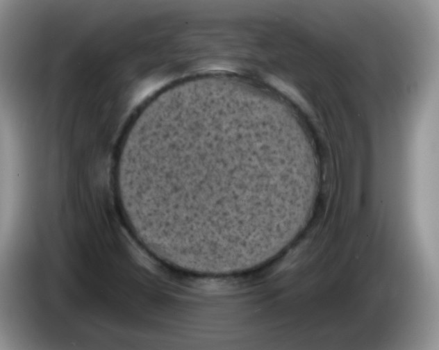 X0000084051404200703092043