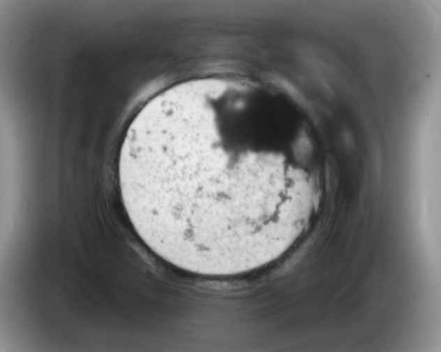 X0000084051405200703092043