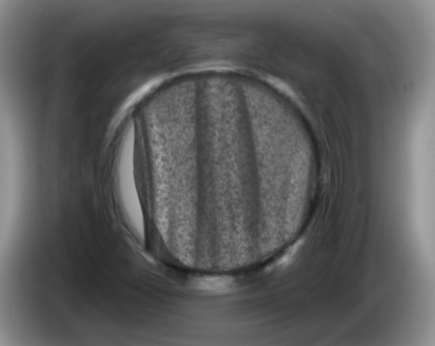 X0000084051406200703092043