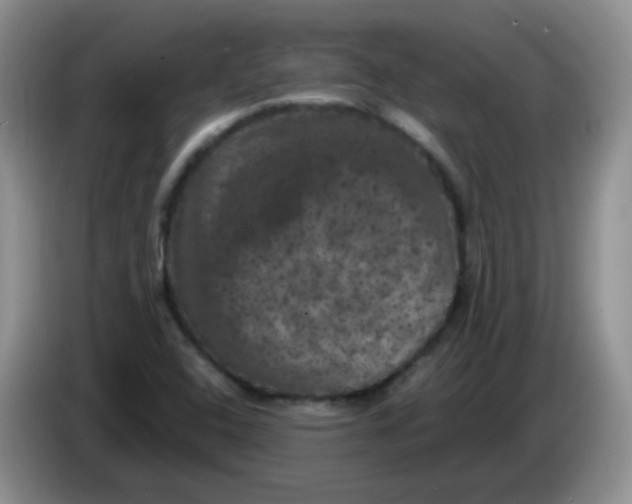 X0000084051408200703092043