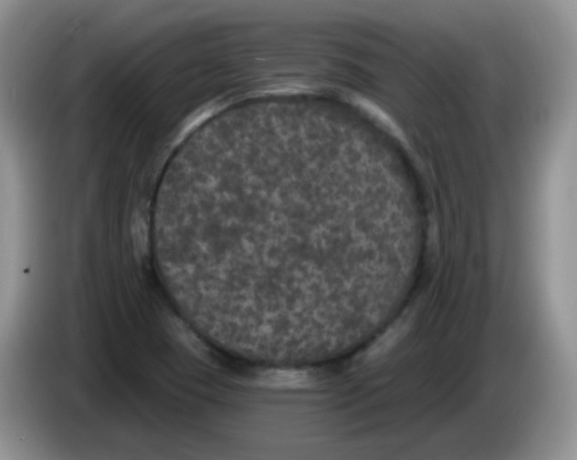 X0000084051409200703092043