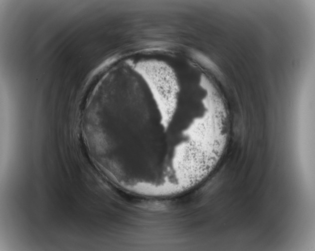 X0000084051411200703092043