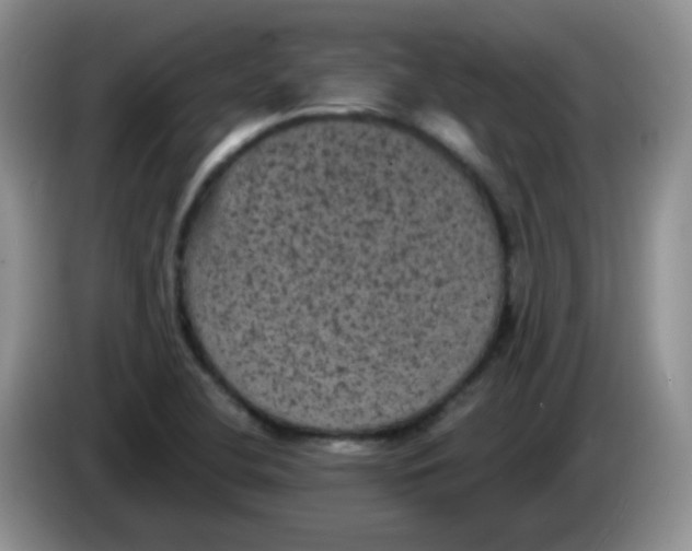 X0000084051412200703092043