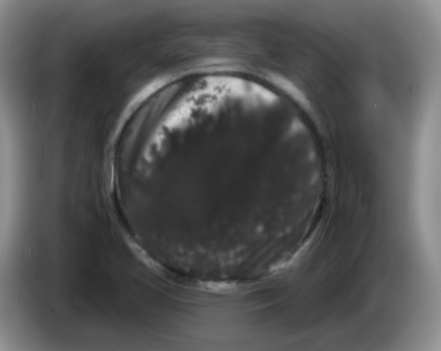 X0000084051413200703092043