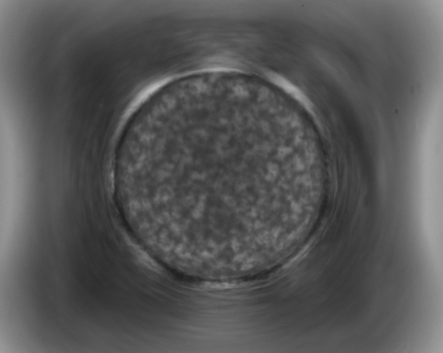 X0000084051415200703092043