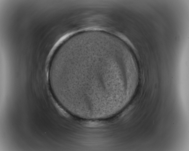 X0000084051416200703092043