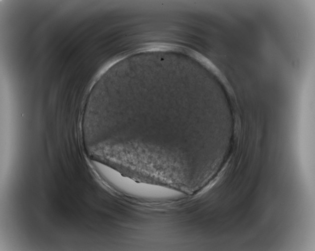 X0000084051417200703092043