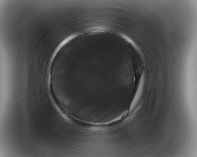 X0000084051418200703092043