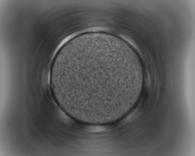 X0000084051420200703092043