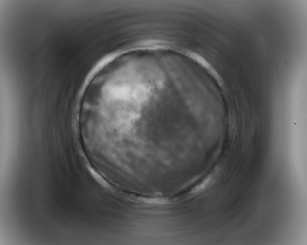 X0000084051421200703092043