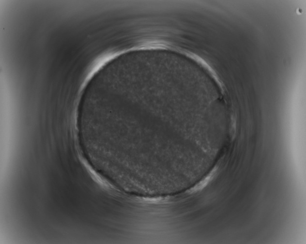 X0000084051422200703092043