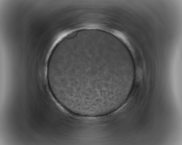 X0000084051424200703092043