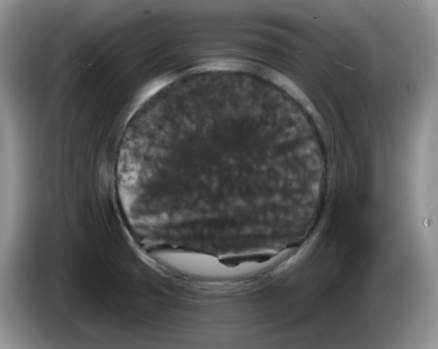 X0000084051425200703092043