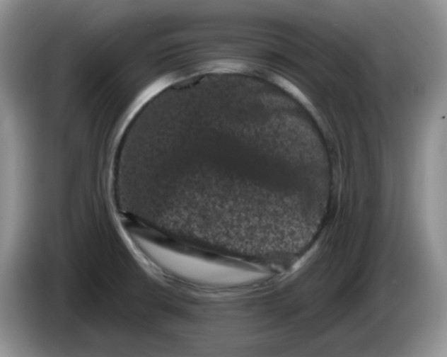 X0000084051426200703092043