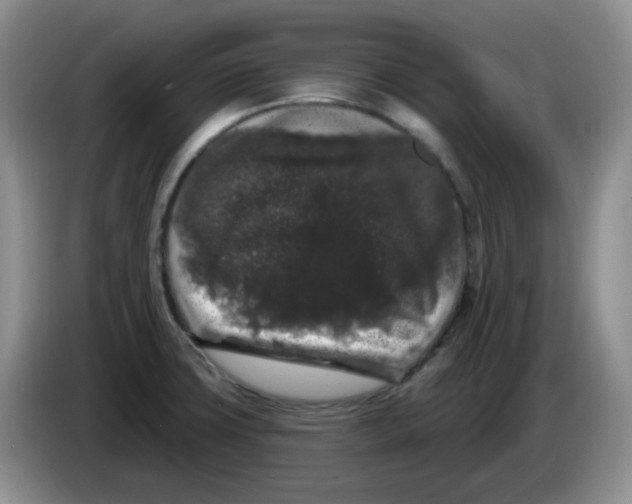 X0000084051427200703092043