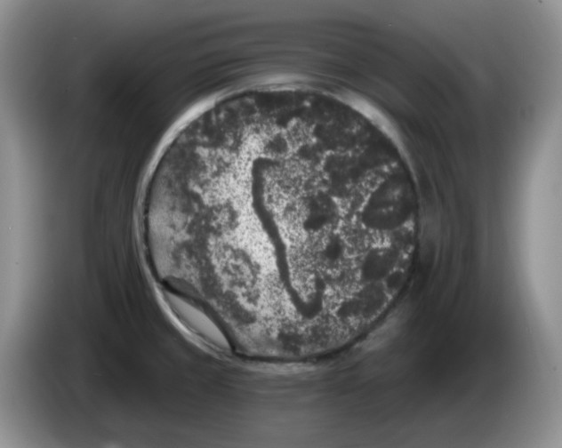 X0000084051429200703092043