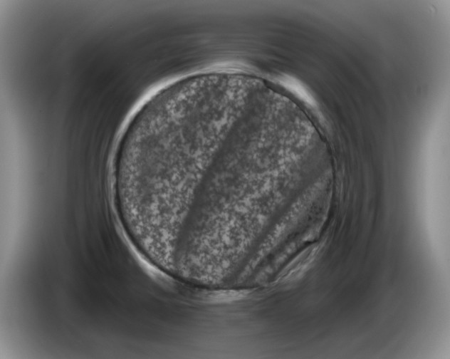 X0000084051430200703092043