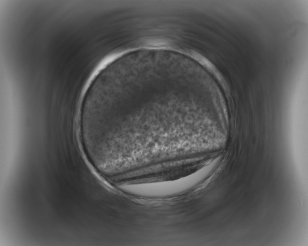 X0000084051432200703092043