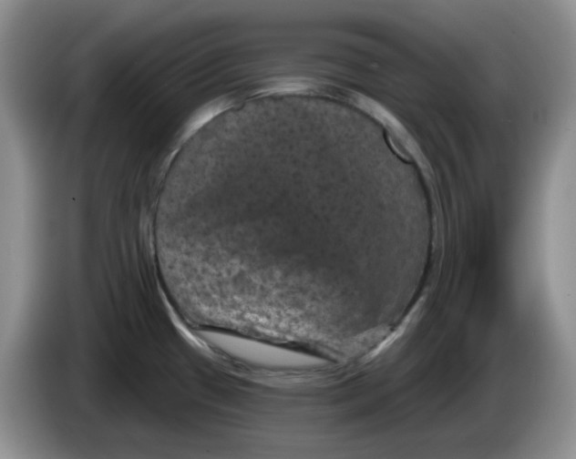 X0000084051433200703092043