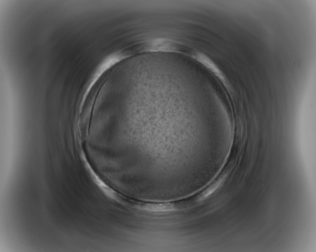 X0000084051434200703092043