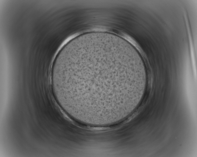 X0000084051436200703092043