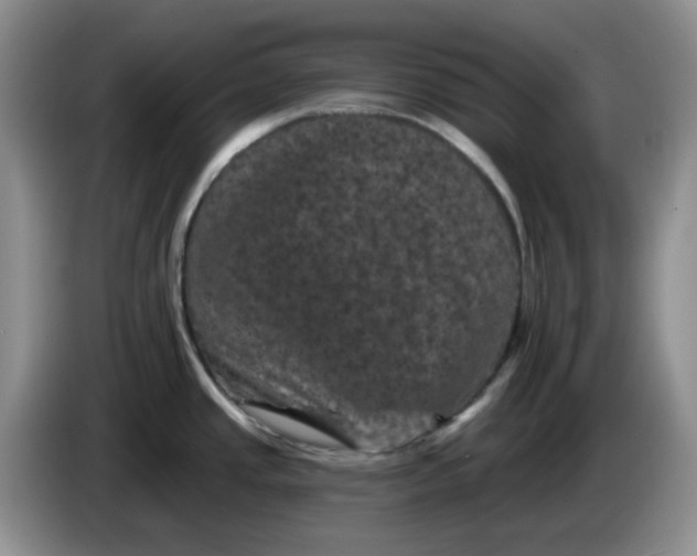 X0000084051437200703092043