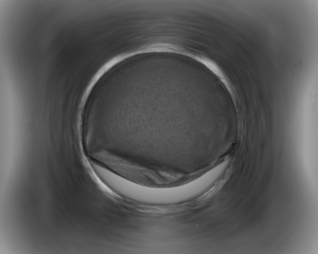 X0000084051438200703092043