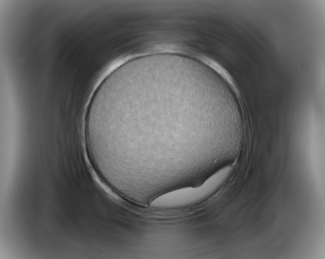 X0000084051439200703092043