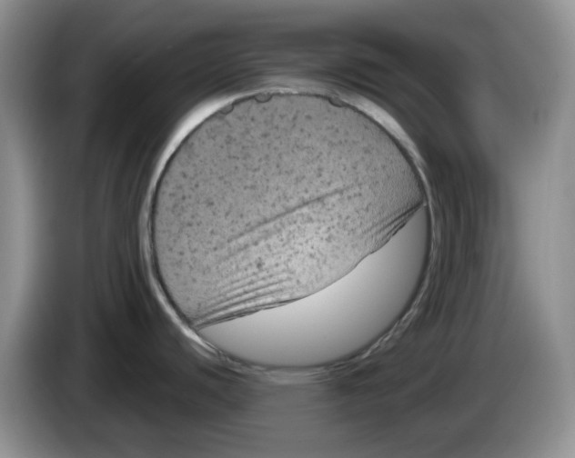 X0000084051440200703092043