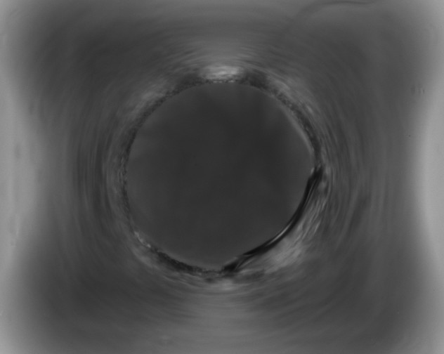 X0000084051441200703092042