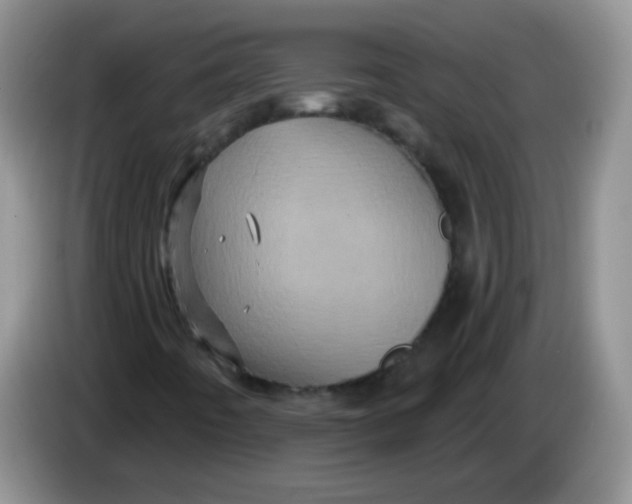 X0000084051442200703092042