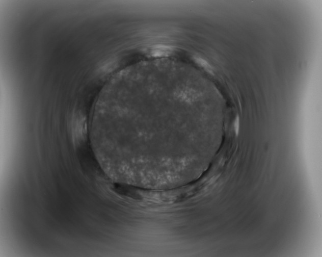 X0000084051443200703092042