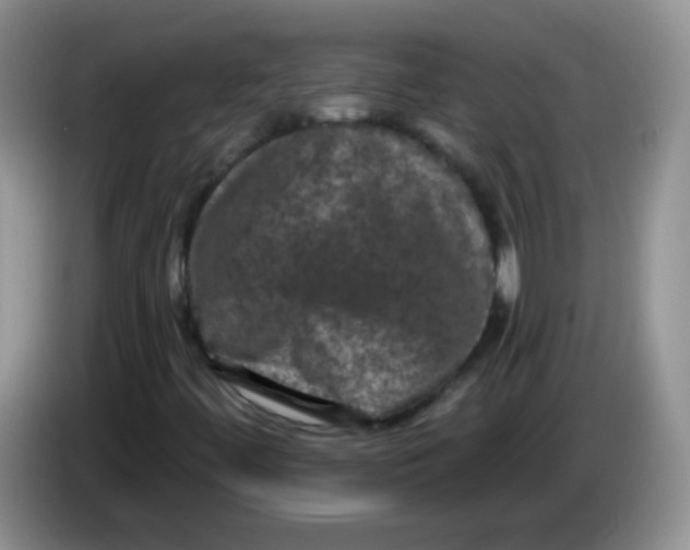 X0000084051444200703092042