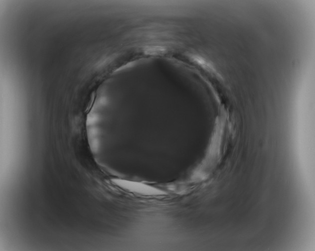 X0000084051445200703092042