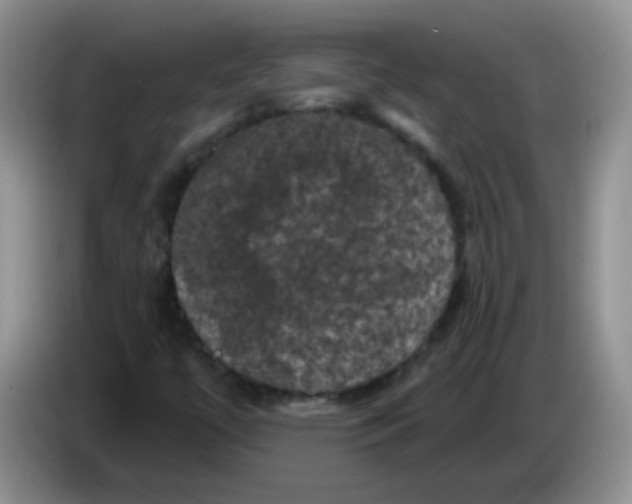 X0000084051447200703092042