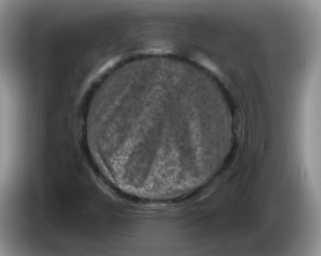 X0000084051448200703092042